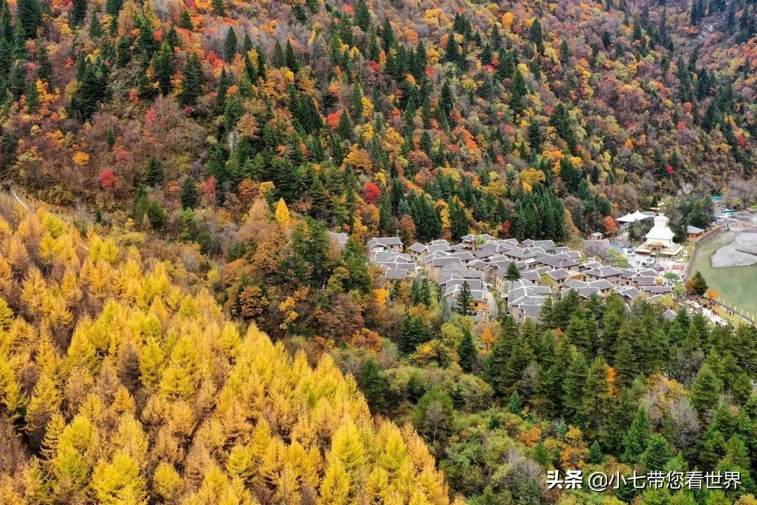 海拔4900的咖啡馆,4700咖啡店