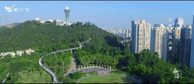 2023年厦门自由行热门攻略,厦门春节旅游攻略自由行最佳路线