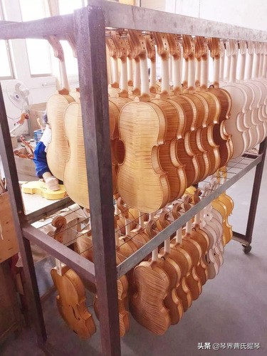 日本老师到中国,日本小提琴老师简介