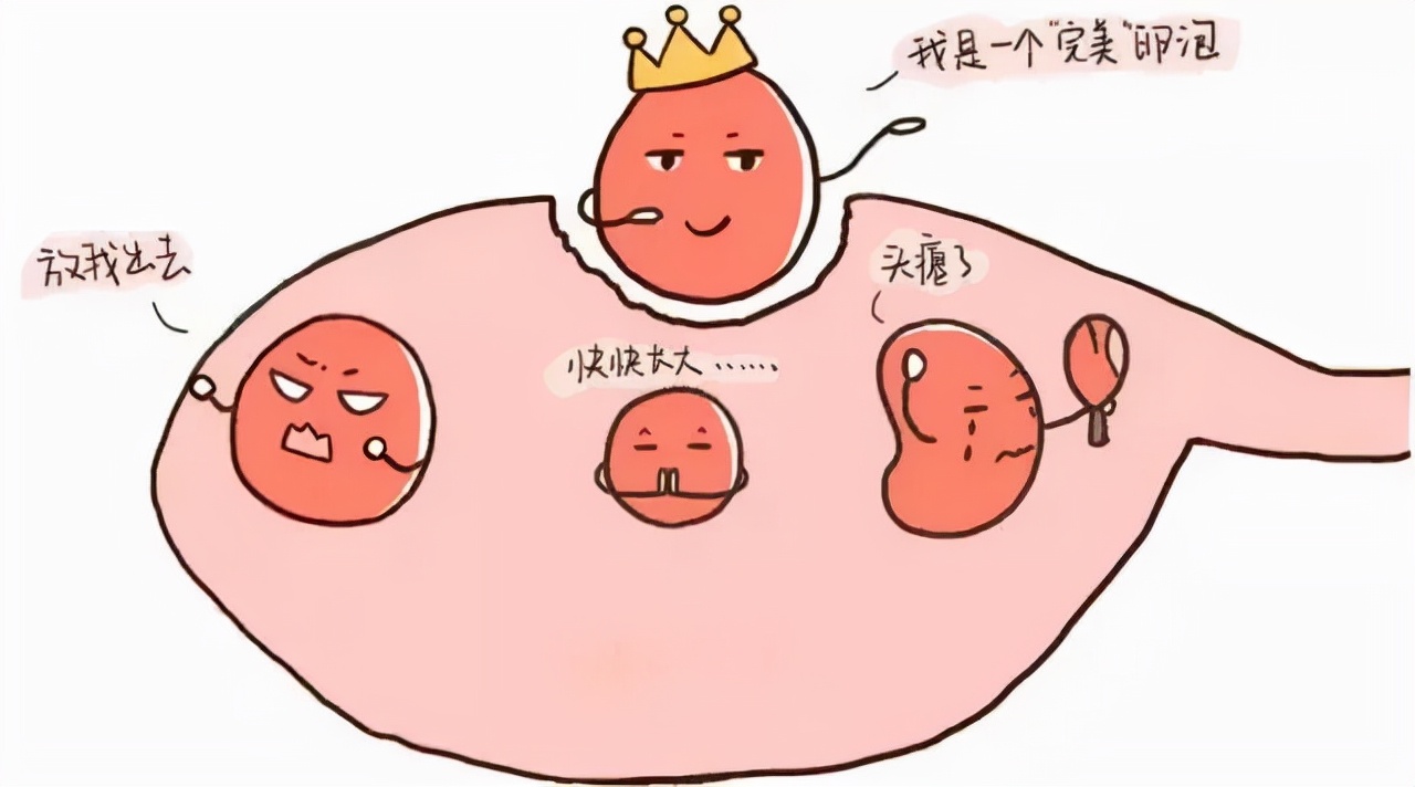 送给备孕的女性朋友们,送给备孕的礼物哪些最合适