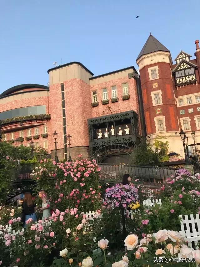 日式网红薄饼干,日本饼干伴手礼