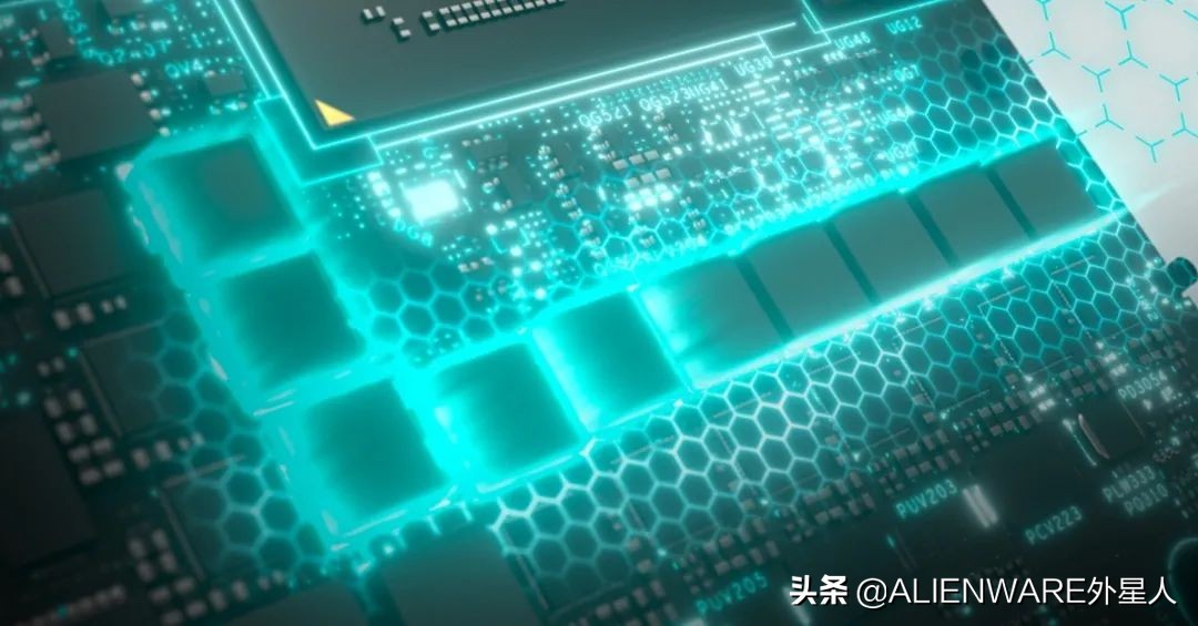 来自“MEME”的欢乐“洗礼”