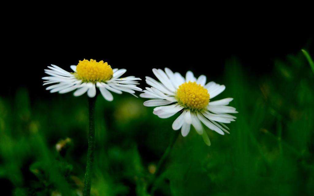 当别人诋毁自己,当别人诋毁你应该怎么办