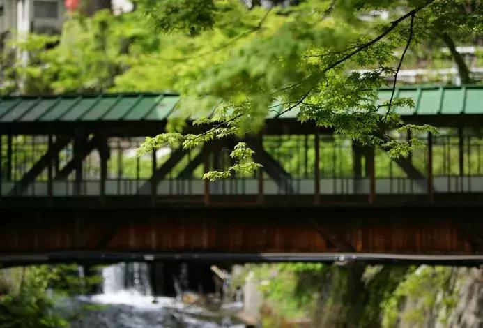日本私汤温泉,日本温泉私汤