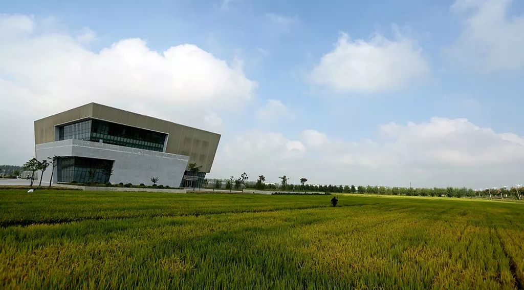 农产品盈利技巧,农产品怎么做才赚钱快