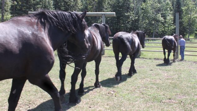 回归大自然的农场,重返自然生态农场优惠