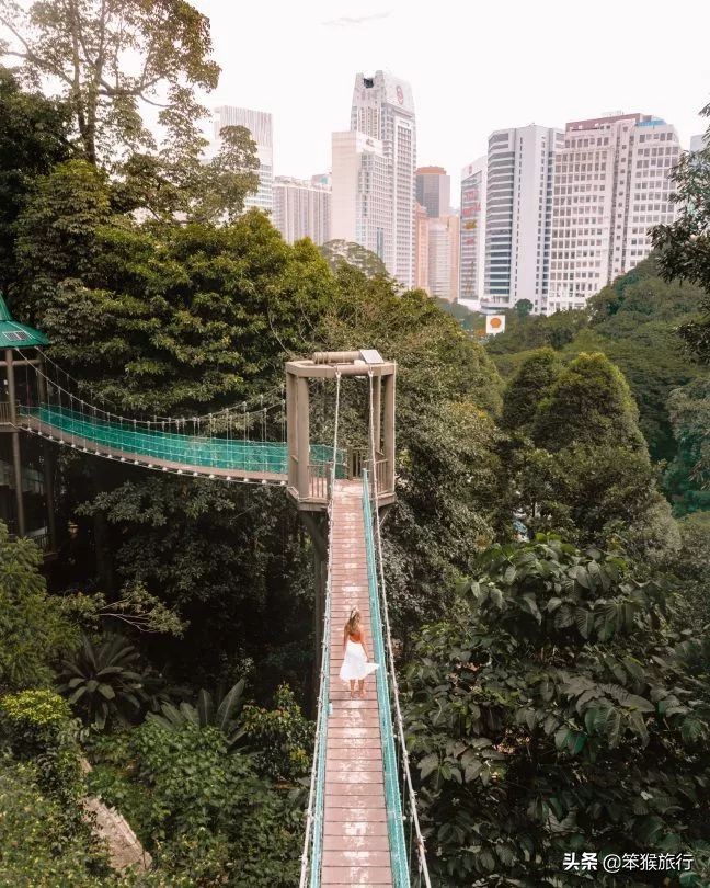 胡静豪门的生活,胡静的现实生活