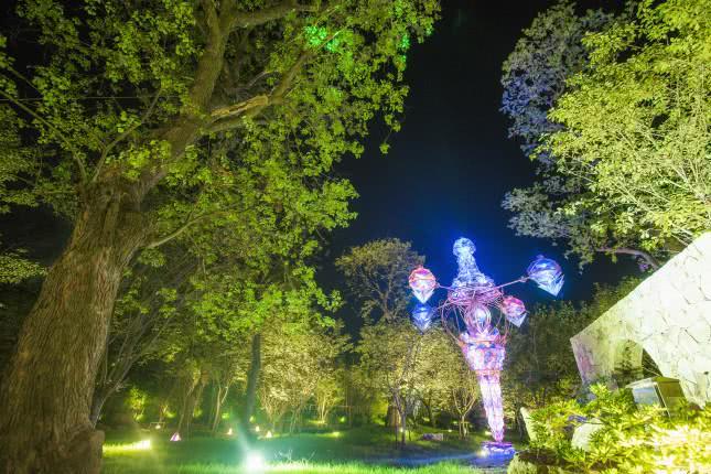 灵山小镇拈花湾樱花,无锡拈花湾樱花开