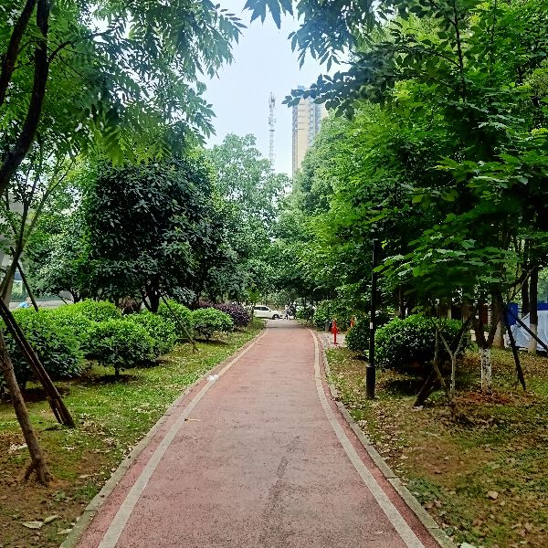 武汉海尔工业园,武汉海尔工业园98号