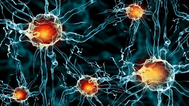 间充质干细胞治疗肝病的最新消息,前沿干细胞移植治疗肝病最新研究