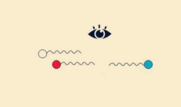 假如物理学不存在那世界会怎么样,如果物理学不存在了世界会怎么样