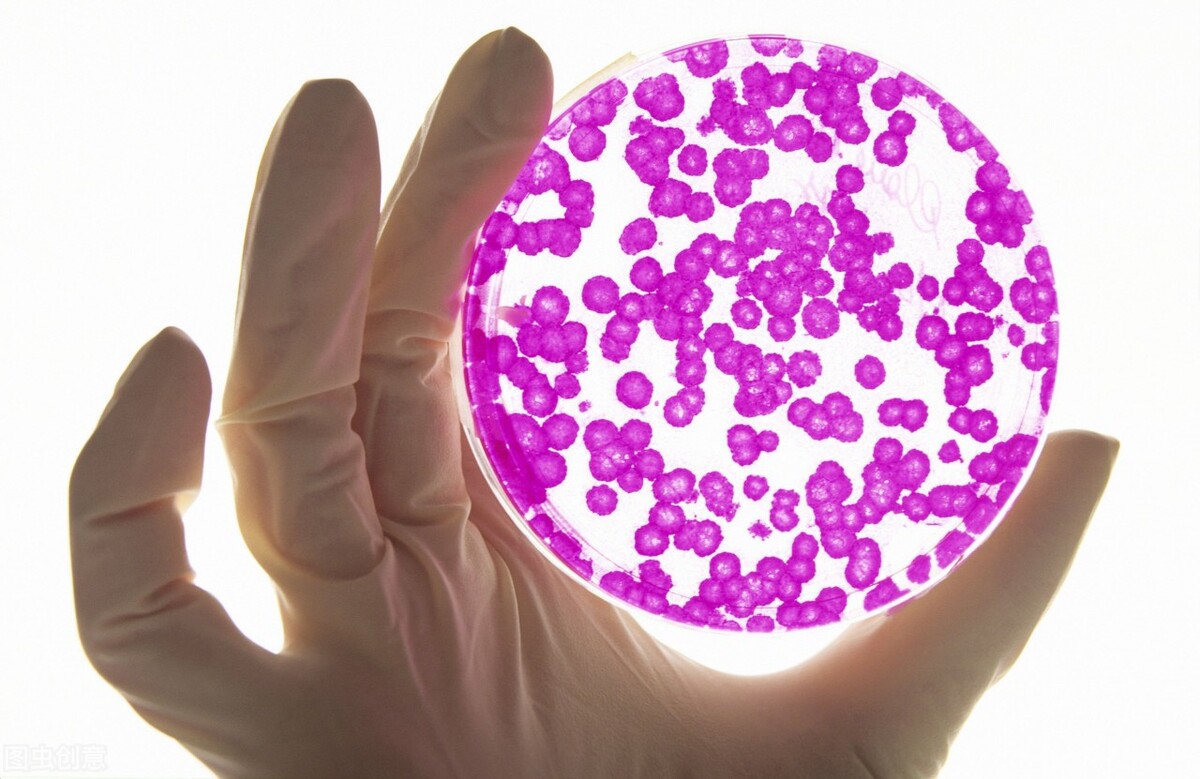 肺癌做基因检测要多少钱,肺癌基因检测医保报多少