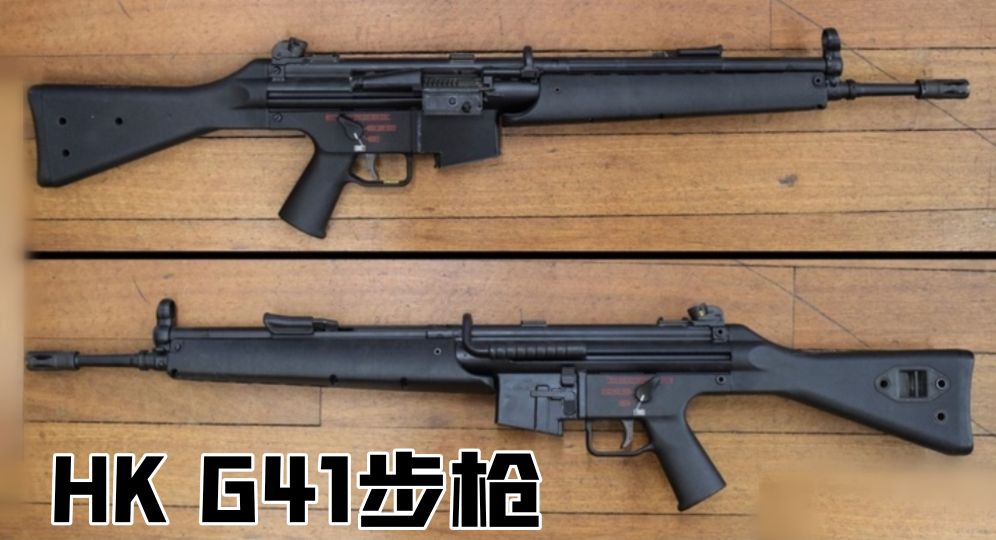 英国枪史图册全篇,德国枪图片