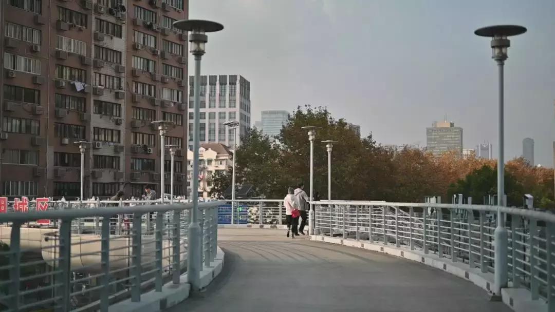 适马85mmf1.4art与蔡司55mmf1.8,适马501.4art与适马501.4