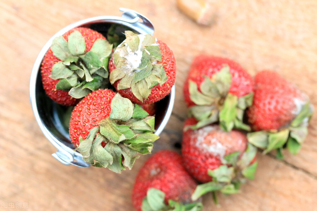 广西过期食品,过期食物对人体伤害