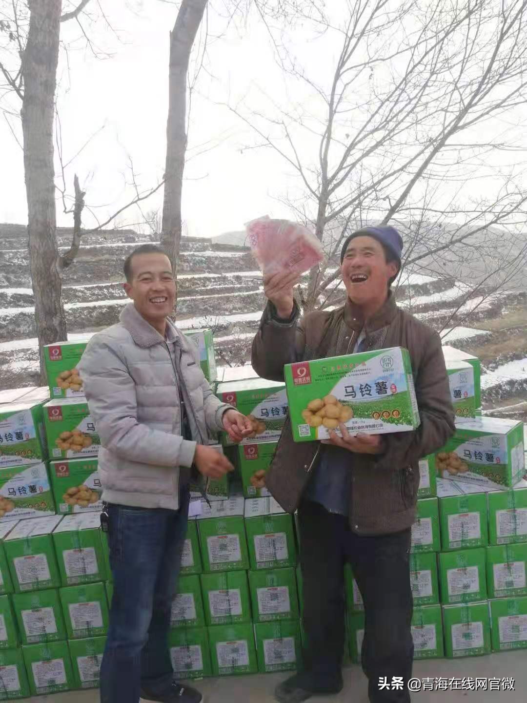 乐都区鼎隆农业公司：小土豆带动大经济