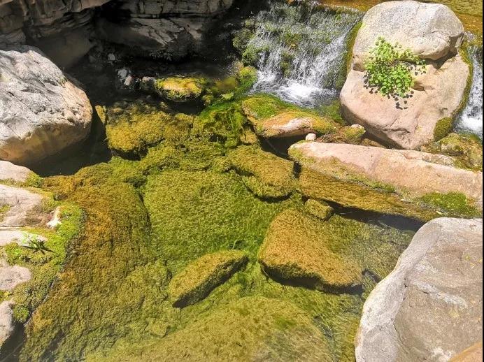 乐评戏曲,乐评叱咤风云