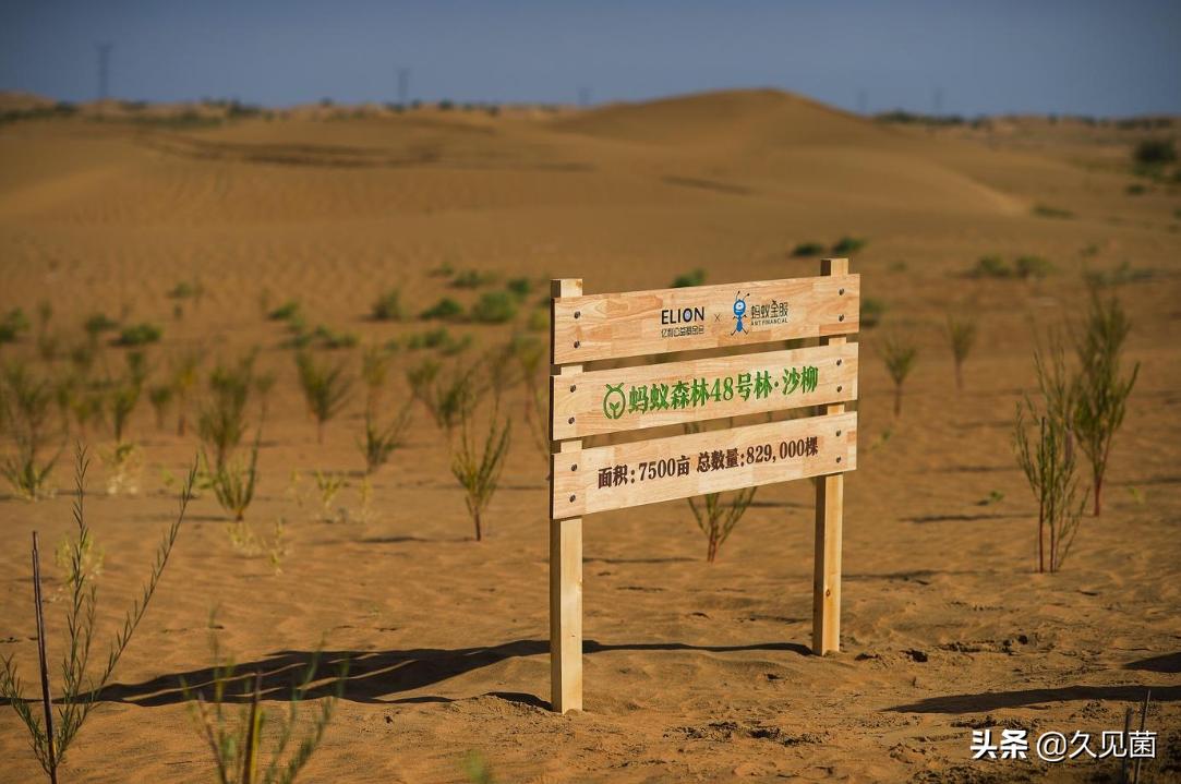 中国人改造沙漠的能力,中国人把沙漠变成绿洲