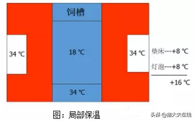 如何预防仔猪病毒性腹泻,防治保育仔猪腹泻用什么药
