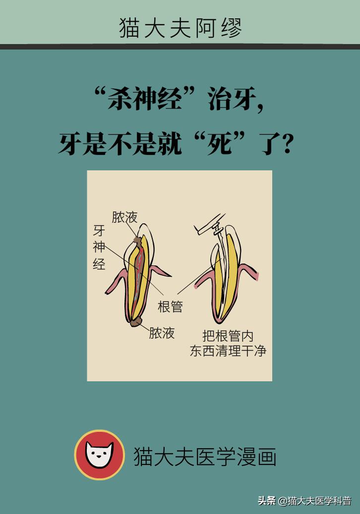 杀死牙神经变成死牙了吗,杀牙神经到底好不好