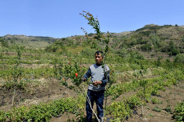 增收项目助力贫困户脱贫,脱贫攻坚项目工作进展