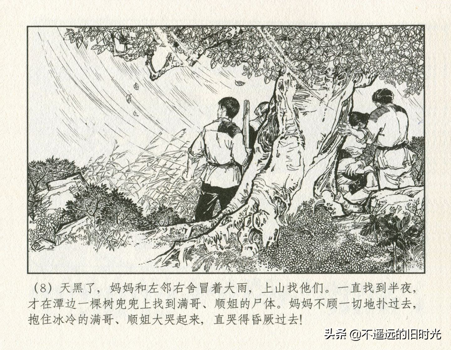 朝阳花-上海人民美术出版社1981初版2016再版陆成法陆小弟绘