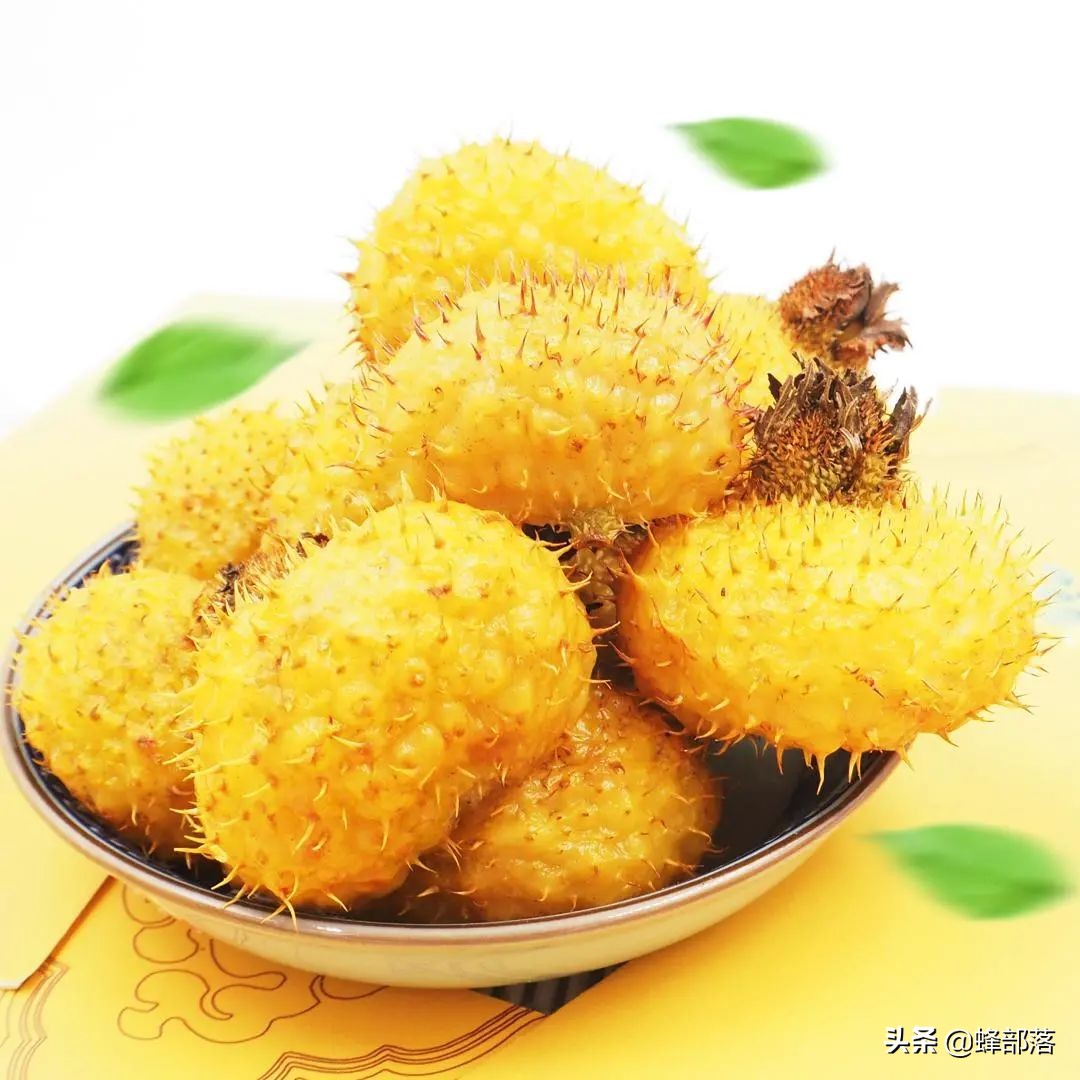 刺梨是贵州独有吗,贵州刺梨怎么去买