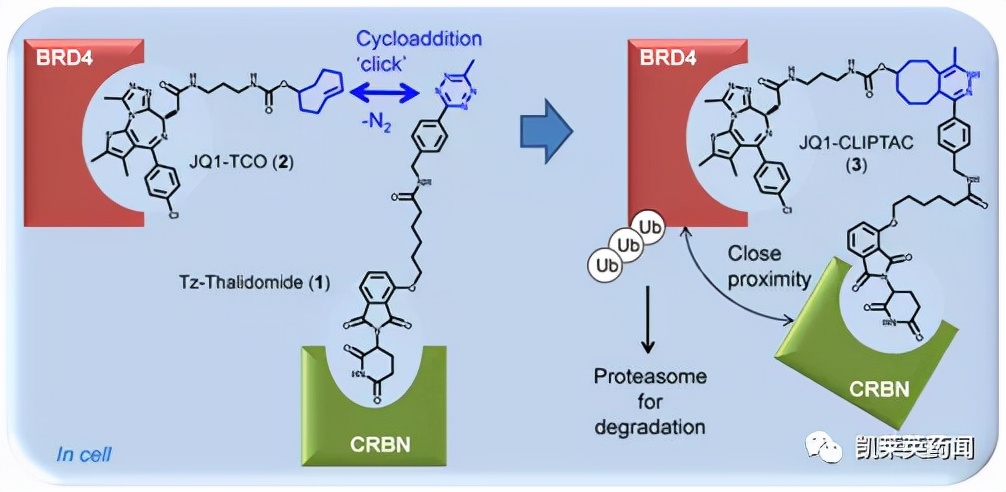 protac小分子的发展历程,protac相比于小分子药物的优势