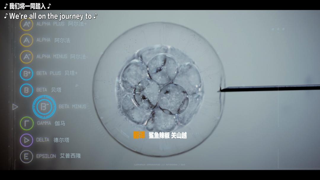 美丽新世界美剧解说,美剧美丽新世界全集免费看