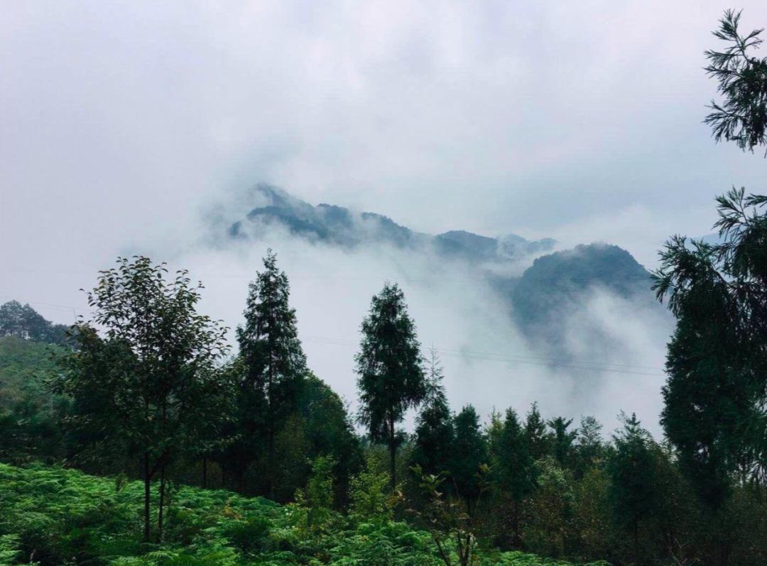 成都耍水的地方推荐适合小孩,成都免费游泳耍水的地方