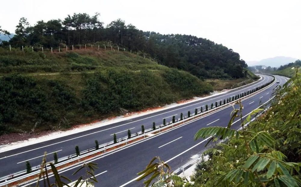 摩托车祸撞飞“蛋蛋”，散落滚烫柏油马路上，还能再移植回去吗？