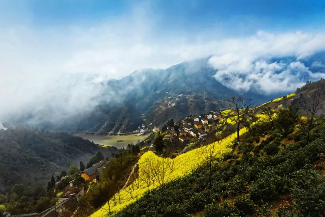 秘境蜘蛛恐惧症任务,破碎之地秘境剧毒蜘蛛怎么打