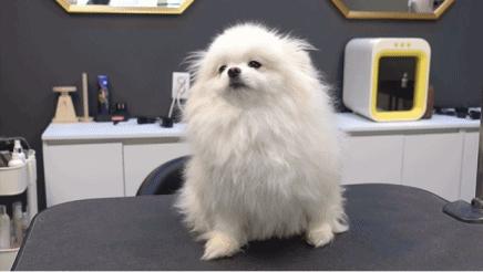 tony老师高阶换头术,90后tony老师换头术