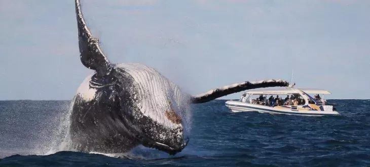 斯里兰卡对华限时免签,2023斯里兰卡免签规则