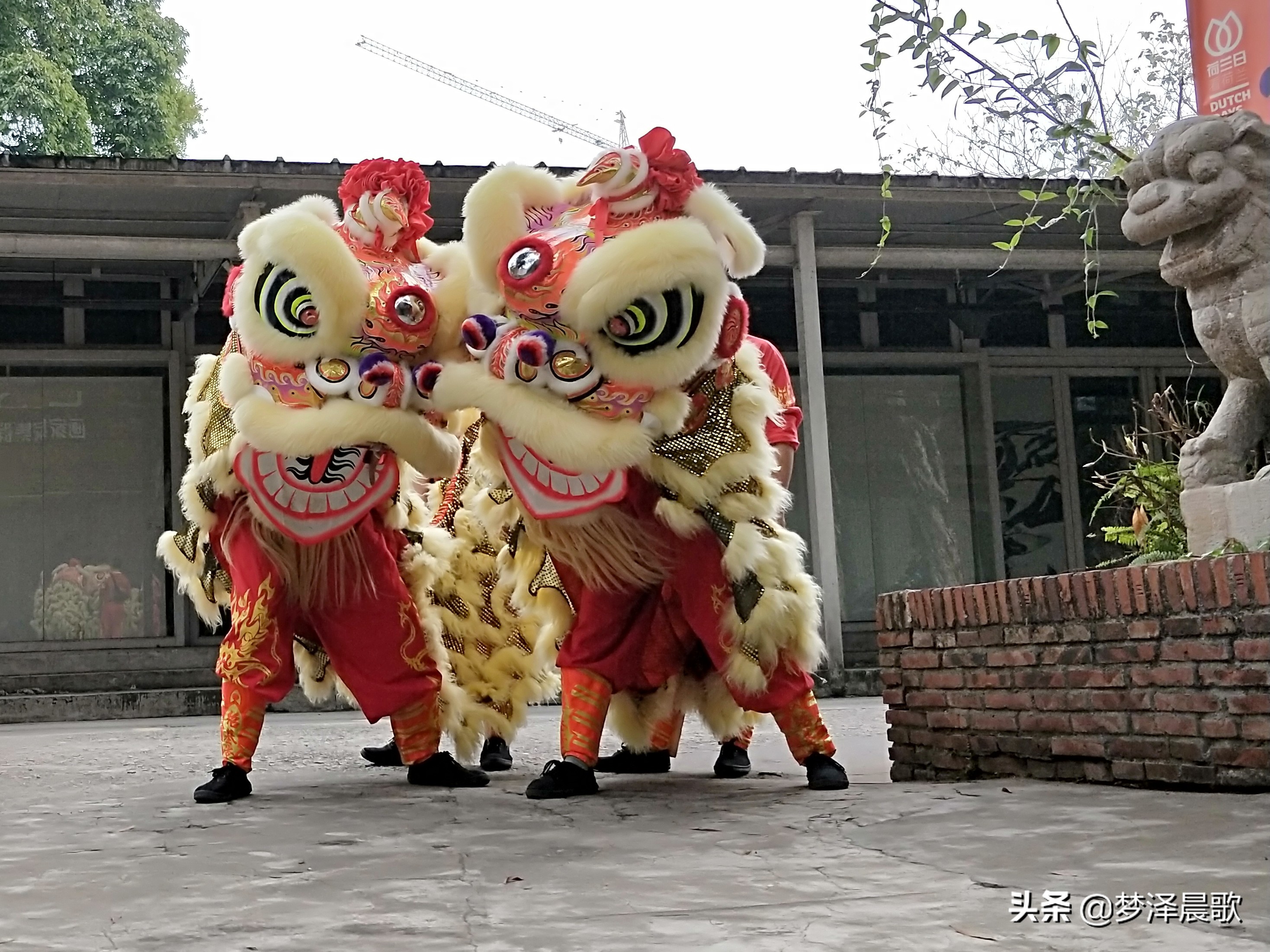 猪年喜庆舞蹈,猪年大吉喜气洋洋广场舞