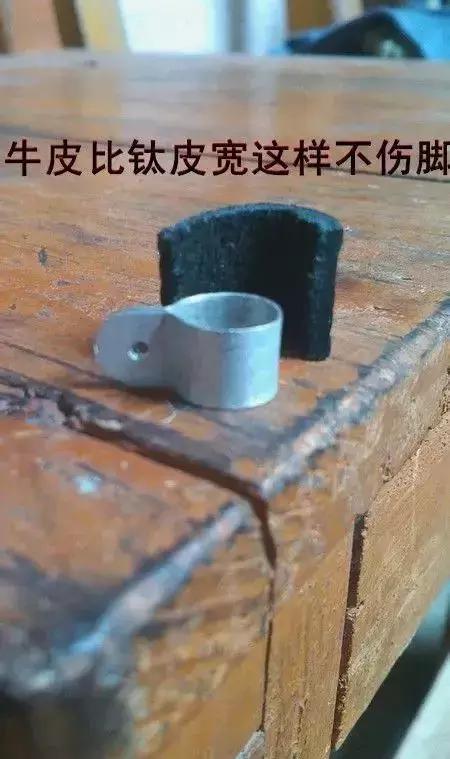 伯劳鸟饲养,没睁眼的伯劳怎样饲养