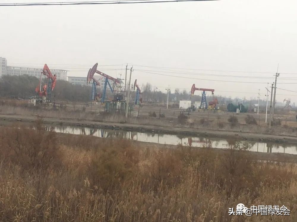 被拆湿地公园,曹妃甸湿地保护区在哪里