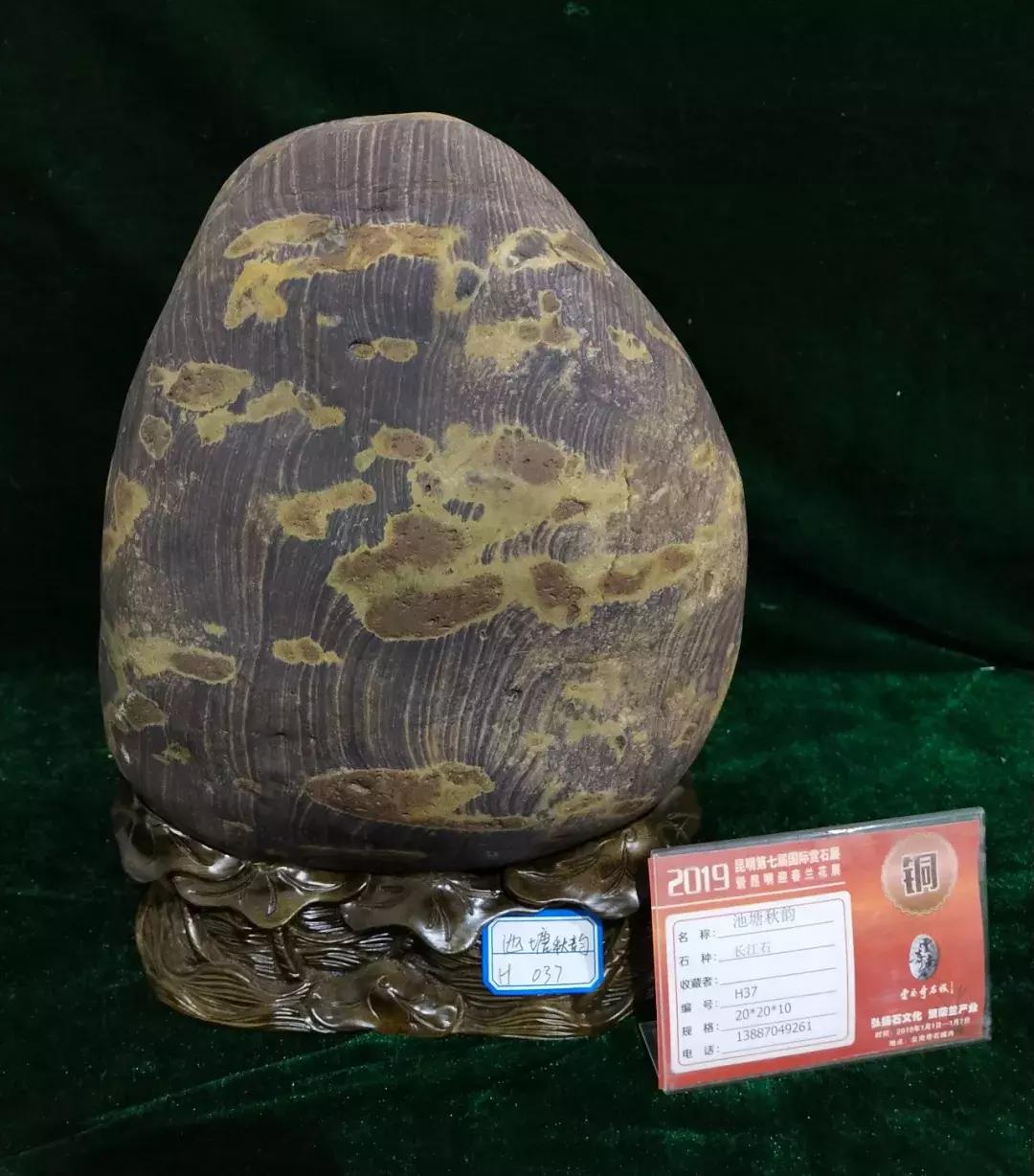 昆明第七届国际赏石展元旦启幕—黄龙玉水草花玉壶喜获金奖