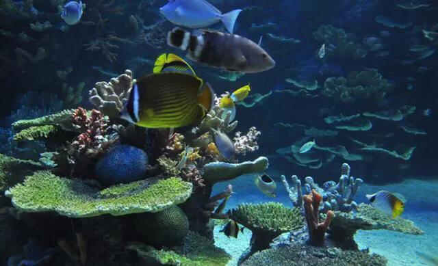 深圳暑假值得带孩子旅游的地方,深圳十大暑假室内必去景点