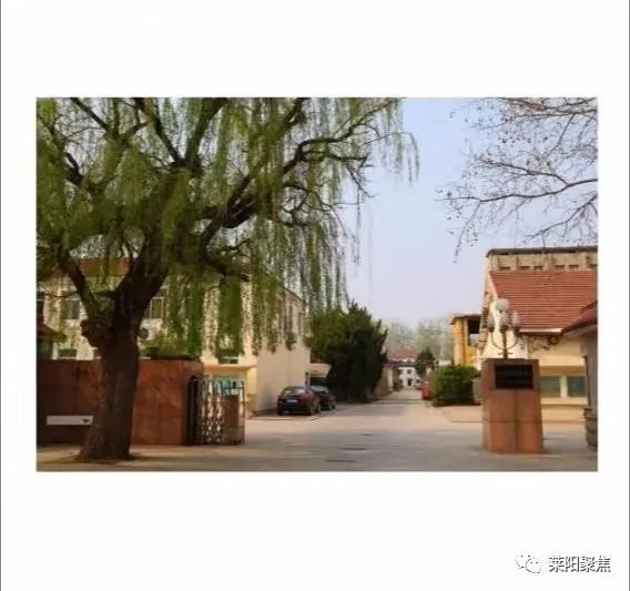 聚焦莱阳孙瑞,莱阳聚焦两会