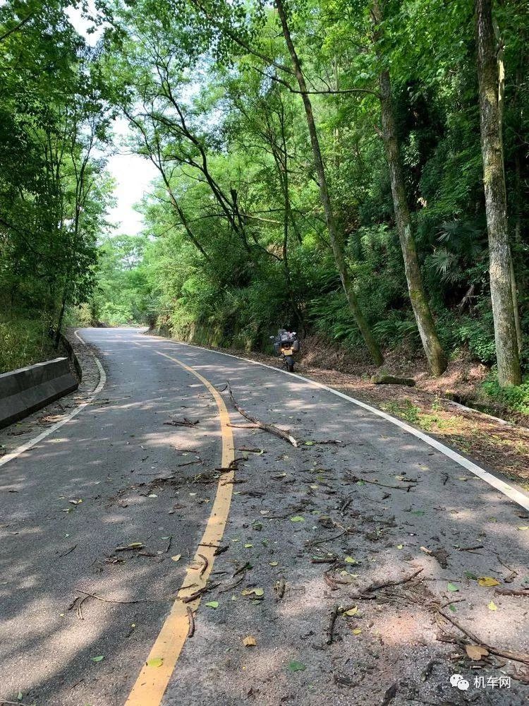 妹子，你骑190的男朋友已经在路上啦