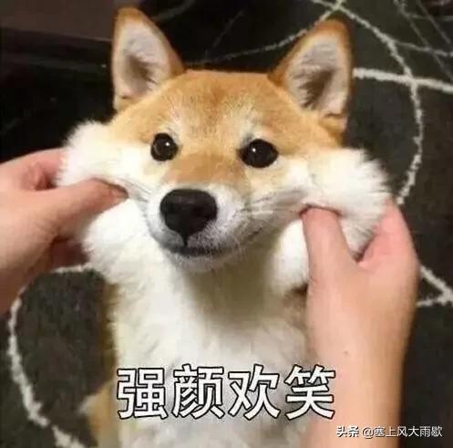 最新笑料合集，哈哈哈哈哈哈哈哈哈哈哈奇怪的知识又增加了