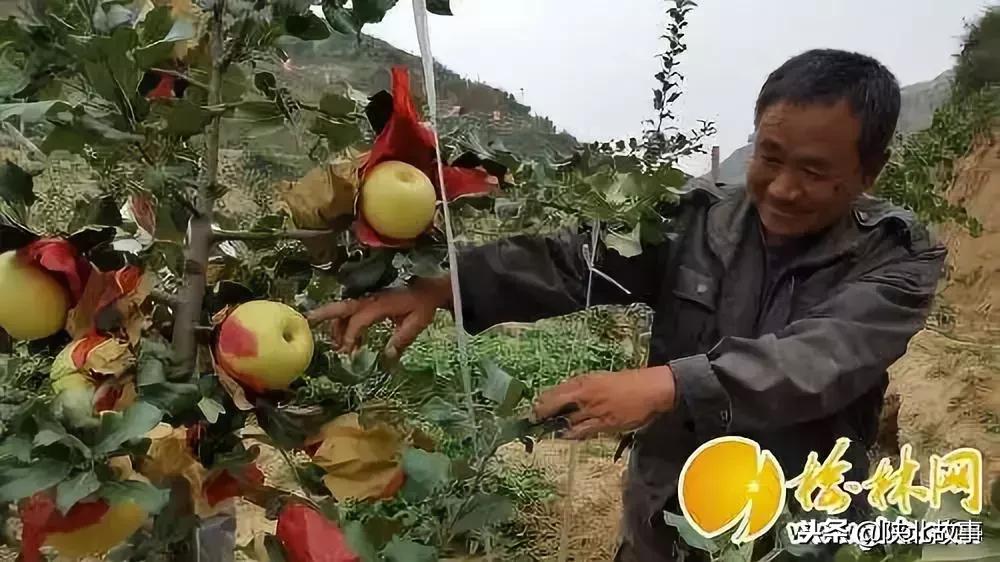 总有人问我如何统一回复,有人问我怎么了我怎么回复