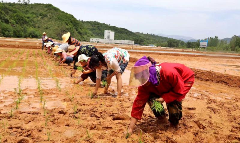 实事办到心坎上民生温度更暖心,学党史办实事工作开展情况