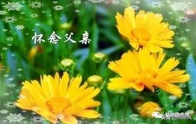 忆 念 慈 父一一王公讳思聪先生子/王德贤