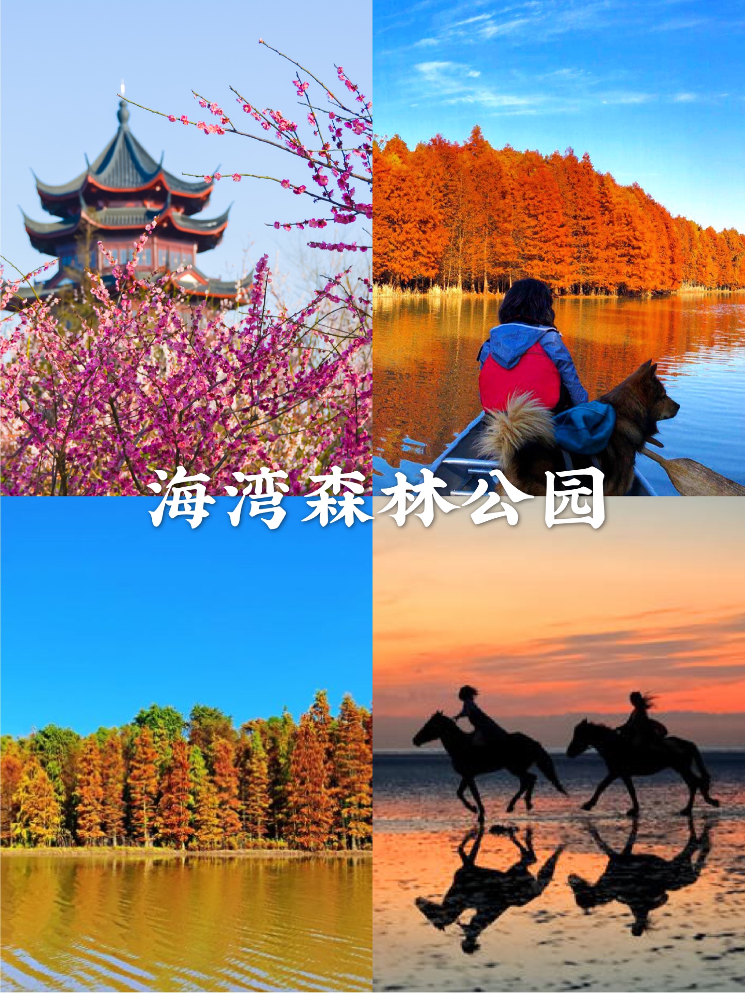 上海超好逛的地方,12月份上海哪个公园最佳观赏期