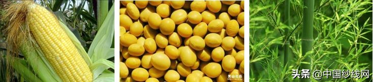 鏈嶈闈㈡枡鍩虹鐭ヨ瘑澶у叏鍥剧墖,鏈嶈闈㈡枡鐭ヨ瘑璁茶В涓绘挱