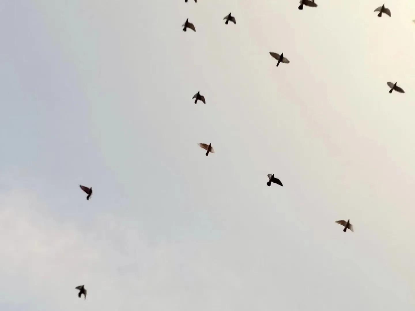 一个人在平遥古城走了30000多步，我收获了什么