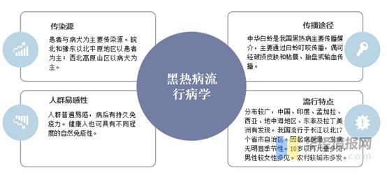 黑热病的预防处置措施,关于黑热病您了解多少