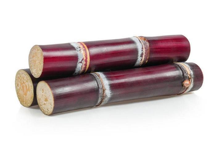 冬天吃甘蔗竟然有这么多好处,植物养生作用与功效有哪些